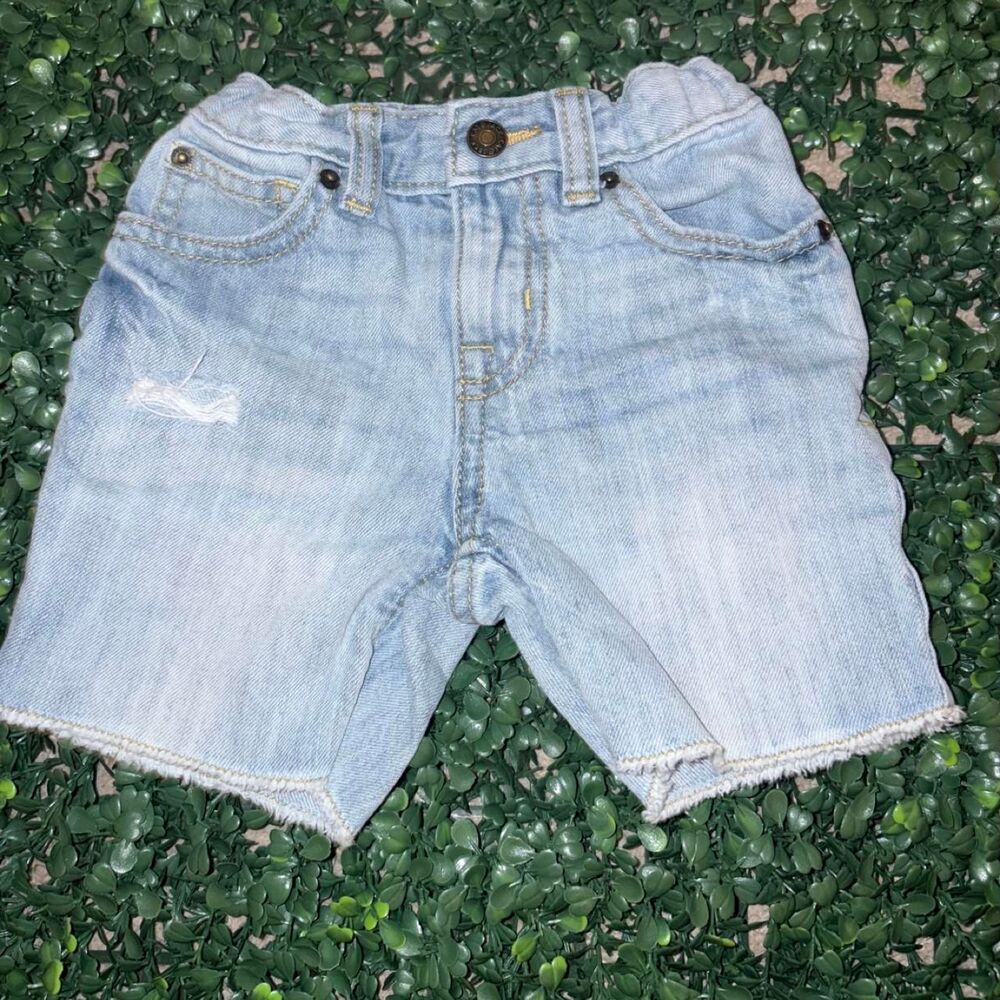 Cat-jack Blue Shorts